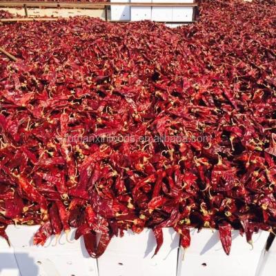 China Dried Red Chilli Chinese Hot Chilli Peppers Dried Red Chilli Peppers for sale