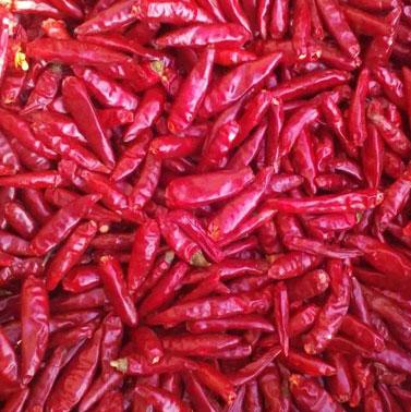 China Chaotian Chinese Chilli Dried Hot Chilli Red Chilli for sale