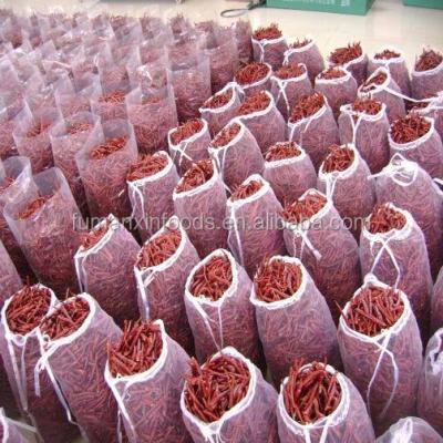 China hot dry red chilli pepper for sale