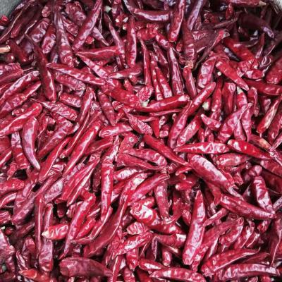 China Fumanxin Chaotian Chilli Paprika Powder Dried Chilli Crushed for sale