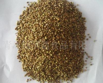 China Dried Chinese coriander seeds coriander powder for sale