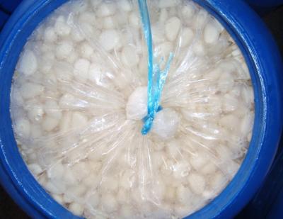 China PRESERVED Peeled Garlic Cloves Preserved Garlic Pickled Garlic Cloves for sale