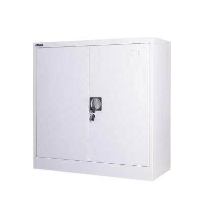 China New Design 2 Adjustable Doors (Height) Clothes File Cabinet Steel Storage Closet for sale