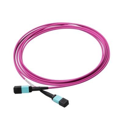 China MPO Fiber Optic Jumper OM4 Female 12 Fibers MPO/MTP Patch Cord Manufacturer China for sale