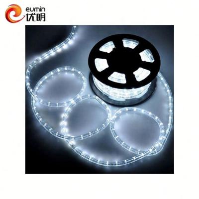 China IP65 Garden Christmas Outdoor Pattern Rope Tube Light 100m Led PVC Rope Light for sale