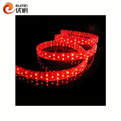 China Garden Best Rates DC12V/24V Christmas Decoration Led Pool Rope Light Light for sale