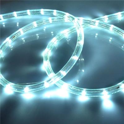 China Wholesale 220V 110V 100M Outdoor Waterproof Soft Led LANDSCAPE Christmas Decoration Rgb Rope Light for sale