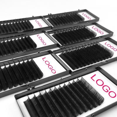 China Natural Soft PBT Private Label Custom Synthetic Lash Trays Individual Volume Classic Eyelash Extensions for sale