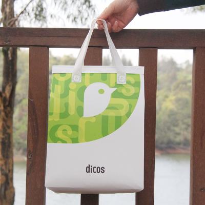 China Cheap Fashion Heat Seal Beach Picnic Cooler Bag Custom Price LOGO PP Laminated Non Woven Food Delivery Cooler Bag for sale