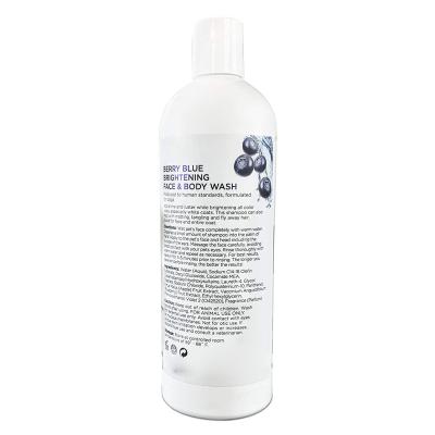 China Sustainable Pet Shampoo in Stock Face and Body Brightening Wash for Dogs and Cats Tear Free Blueberry Shampoo Eliminate Tear Stains Hydrate for sale