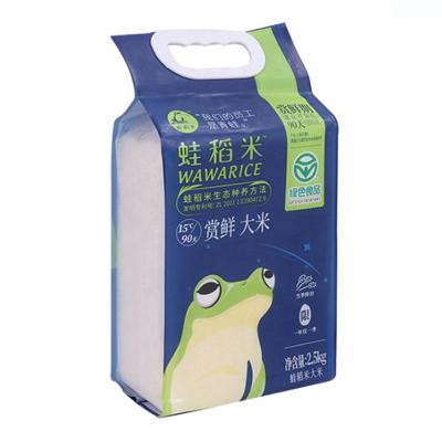 China Custom Side Gusset Rice Packing Bag 1kg 2kg 5kg 10kg Moisture Proof Laminated Plastic Bags With Handle Rice Bags for sale