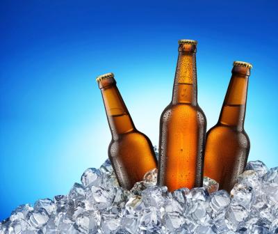 Cina Macchina di rifornimento industriale della birra, BGF32-10 2 in 1 materiale da otturazione e tappatrici in vendita