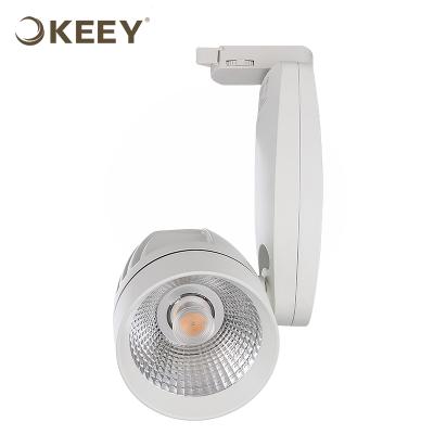 China 2020 modern keey white led track spot design cob track light special light led 30w led lighting track DG313 for sale