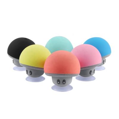 China 2021 Cute Cheap Portable Radio Shower Diffuse Sucker Speaker Wireless Mini Speaker Mobile Phone Waterproof Car for sale