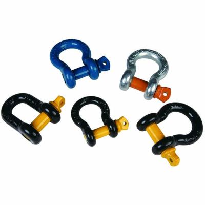 China Heavy Industry D Ring Shackle, Forged, Heat Treated, Towing Attachment for sale