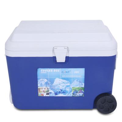 China Gint Waterproof Insulation Picnic Outdoor Portable Beer Can Drinking Ice Plastic Insulated Cooler Box for sale