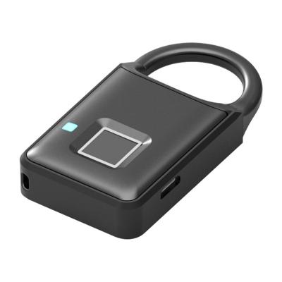 China Biometric Bag Fingerprint Lock 2020 Smart Battery 800mah Long Life Fingerprint Unlock for sale