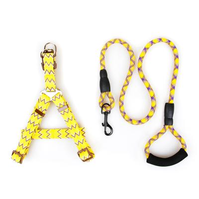 China 2020 New Arrival Pet Cat Dog Chest Vest Harness And Leash Sets for sale