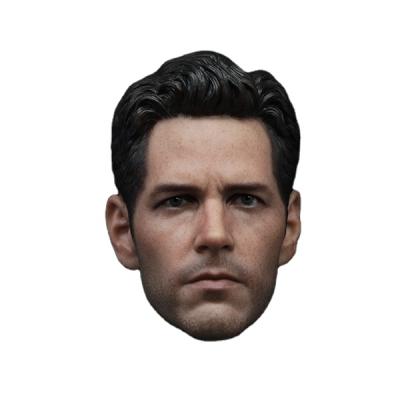 China MODEL TOY Custom 1/6 Scale Paul Rudd Antman Head Sculpt Compatible with 1.0 Antman Hot Toys for sale