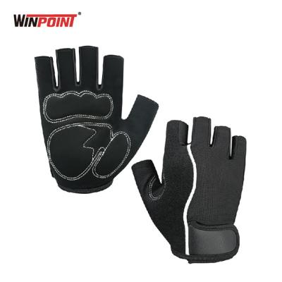 China WINPOINT Unisex Fitness PU Palm Padded Custom Logo Workout Gloves for sale