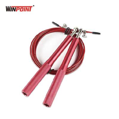 China Professional adjustable rope length WINPOINT crossfit steel wire speed jump rope for fitness for sale