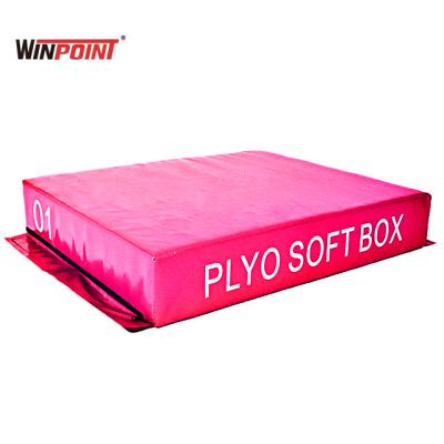 China Professional Jumping Strength WINPOINT Plyometric Fitness Training PT Training Jump Box For Gym Exercise for sale