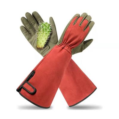 China Working Glove Protective Wholesale Canvas Floral Pattern with PVC Dots Garden Gloves Great for Housework Cultivating and Gardening for sale