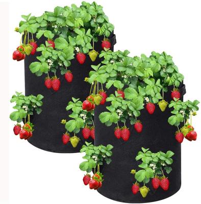 China Corrosion Resistant 8 Pocket Strawberry Grow Bag With Breathable Felt Material for sale