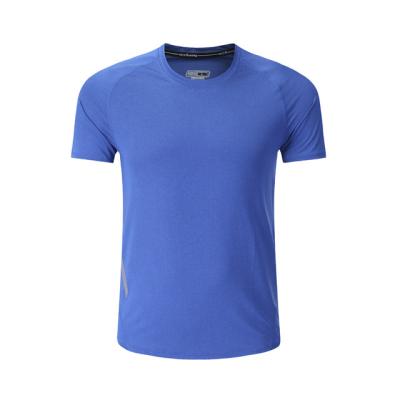 China Breathable Custom Sports T Shirt Gym Mens Dry Fit Shirts Wholesale T Shirt for sale