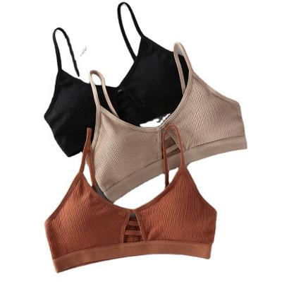 China Beautiful Women's Seamless Chest Tube Tops Hollow Out Cotton Threaded Bandeau Strapless Back Bra QUICK DRY Woman Wireless Wrap for sale