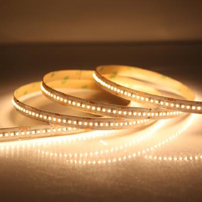 China LANDSCAPE DC24v SMD2216 4.8W 16.4ft/roll flexiable cold white led strip light with waterproof for sale