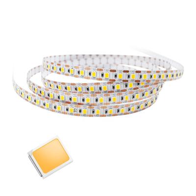 China Indoor/Outdoor Warm White SMD2835 LED Lights CRI90 3SDCM LED Strip Light Cuttable Flexible Strip Lighting 1 LED 1 for sale