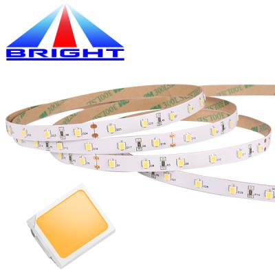 China LANDSCAPE High CRI SMD2835 Led Strip Light Waterproof With IP68 Waterproof for sale