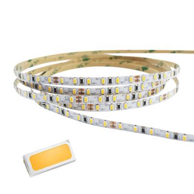 China Outdoor Light Narrow Garden Decoration Strips LED Strip Lamp IP65 Waterproof IP66 IP68 SMD3014 for sale