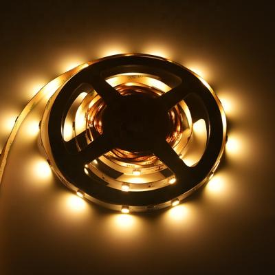 China Desktop SMD5050 LED Strip Lighting IP66 LED Flexible Strip Light Landscape Light CRI>90 LED Strip for sale