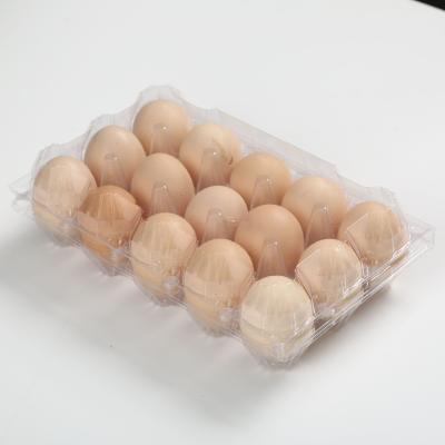 China Hot sale quail egg tray carton egg trays egg tray for sale for sale