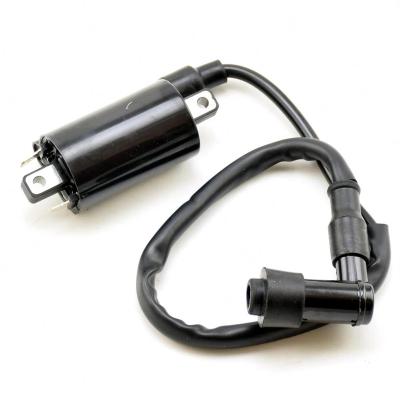 China CDI Ignition Coil For Yamaha VIRAGO250 XV250 1995-2007 2000 2001 2003 2002 2006 Quad V-Star 08-11 Route 66 1988-1990 YP250 LH250 ATV for sale