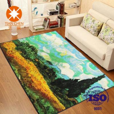 China Colorful Polyester Waterproof Beautiful Home Rug 50 * 80mm / 60 * 90mm / 120 * 150mm for sale