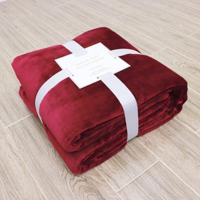 China Personalized Flannel Fleece Brief Throw Promotion Blanket Nordic Luxury Blanket for sale