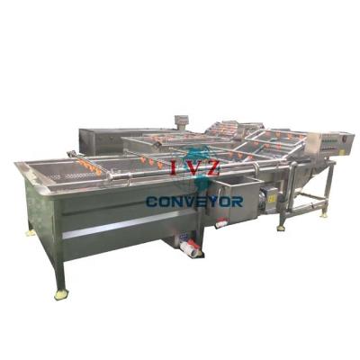 China Oil Resistant Customized Washed Stainless Steel Fruit Elevator Wash Vegetable Conveyor for sale