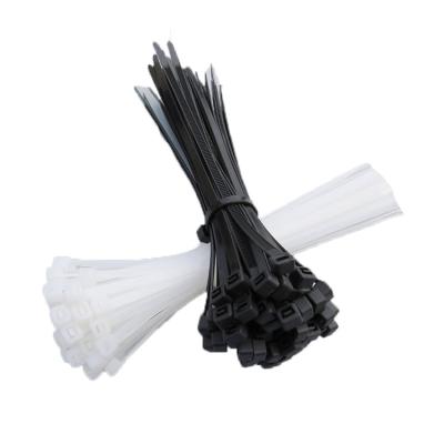 China Zipper Nylon Natural Tie Cable Color Heat Resistant Self-locking Nylon Cable Ties for sale