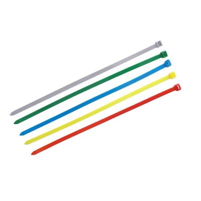 China Color Nylon Nylon Cable Ties Buckles Fixed Storage Harness Plastic Cable Ties With Strong Tether for sale