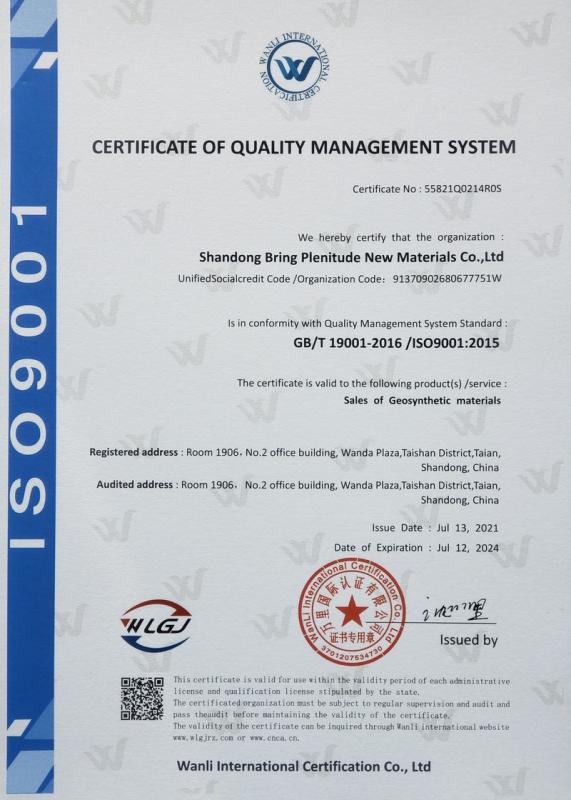 ISO9001 - Shandong Bring Plenitude New Materials Co., Ltd.