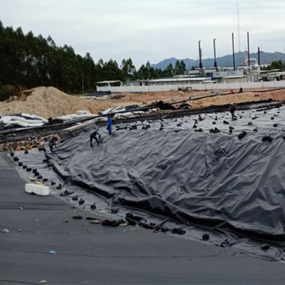 China Durable HDPE Geomembrane Sheet For Landfill for sale