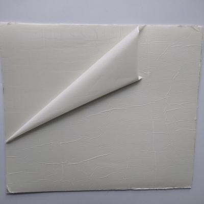 China High Performance Durable Polyester TPO Roof Sheet Interior Reinforced Waterproof Membrane for sale