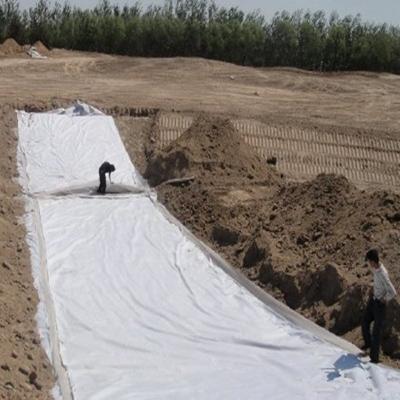 China Modern Environment Protecting 500g Geomembrane Composite Product For Fish Farm Pond for sale