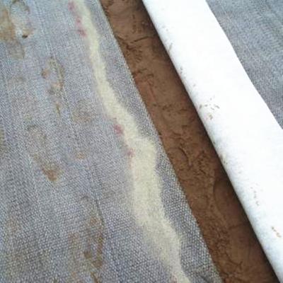 China Modern Hot Geosynthetics International Geosynthetic Clay Liner GCL for sale