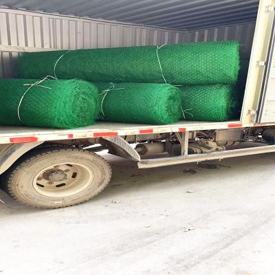 China Modern Other Earthmoving Products HDPE 3d Geonet Grass Net for sale