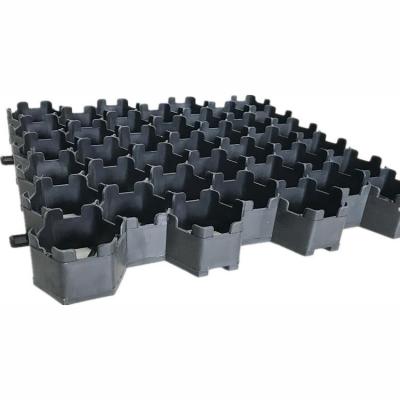 China Contemporary HDPE 500X500X38mm Plastic Grass Gravel Paver Driveway Grate for sale