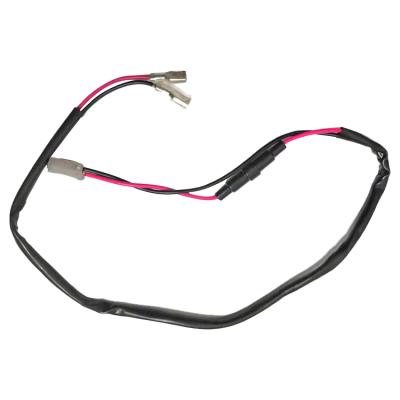 China Automotive 2pin Automobile Wire Harness Assembly Wire Harness Cable Wiring Specialties Auto Harness for sale